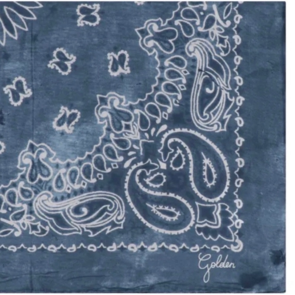 Golden Goose Blue and White Paisley Silk Scarf - Picture 2 of 5